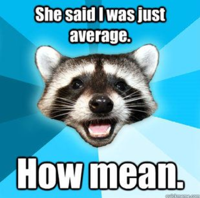 An old Lame Pun Raccoon meme. The image shows a seemingly smiling raccoon face on a blue background. The text says, ''She said I was just average. How mean.''