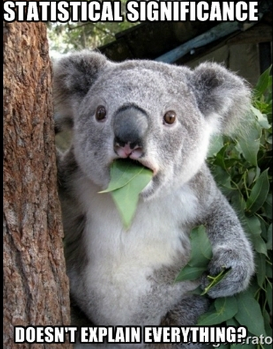 A single-panel surprised koala meme. The picture shows a koala sitting in a tree with leaves in its mouth. It looks surprised. The meme's top text says ''Statistical Significance.'' The bottom text says, ''Doesn't Explain Everything?''